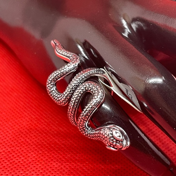 Ring Snake - Picture 2 of 3